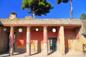 Recorrido Privado a pie por Pompeya y Herculano con un arqueólogo.