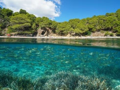 Photo of Platja De l'Almadrava in Roses on Cape Creus Catalonia, Spain.