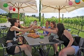 Wine and Food Tasting in the Vineyards in Lazise