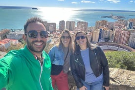 Express Tour 40 minutes in Malaga Mirador Gibralfaro and Photography