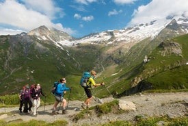 1 day CARPATHIAN PEAKS & CHALETS hike