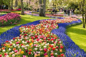 Escapada de un día a los jardines de tulipanes de Keukenhof con un guía que habla español desde Ámsterdam