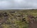 Scenic Green Lava Walk, Skaftárhreppur, Southern Region, Iceland