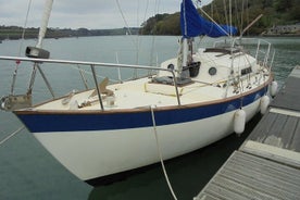 Passeio de barco privado saindo do rio Helford