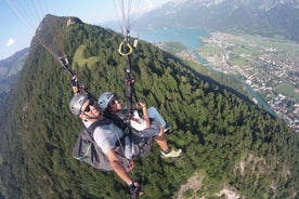 From Geneva: Paragliding and Interlaken Trip