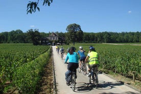 From Beaune: Full-Day Bicycle and Wine Tour in Burgundy