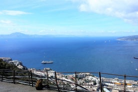 Excursion privée d'une journée complète à Gibraltar au départ de Marbella ou de Malaga