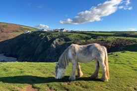 Private Day Tour of Gower's Cliffs & Beaches From Swansea 