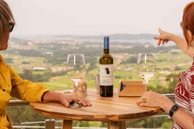 Pontevedra: Vionta Winery in the heart of Rías Baixas