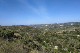 E-bike-Olive oil tasting & Wine tasting-old villages