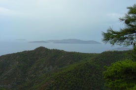 罗德北线路虎野生动物园