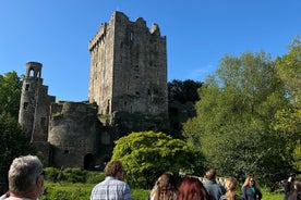 Privat Blarney Cork og Kinsale-tur i luksusminibuss 