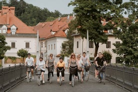 Stadsfietstocht Ljubljana