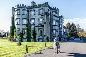 Ballyseede Castle