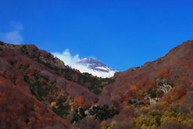 Best Of Sicily Shore Excursion: Etna, Taormina, Castelmola - 10 Persons Max