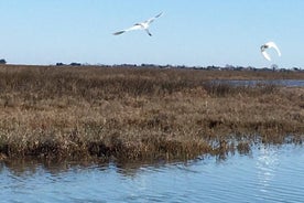 Excursión de descubrimiento en kayak en la laguna de Venecia