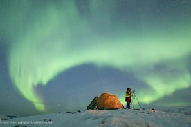 Aurora-Abenteuertour mit kreativen Ferien