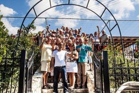 Dégustation de vins et visite de vignobles dans le village de Lemona, Paphos