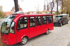 Wroclaw-tour, erkende gids + elektrische auto, 2 uur, gr. 13-15 personen