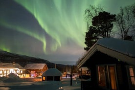 Alta: Nordlichtcamp in der Wildnis