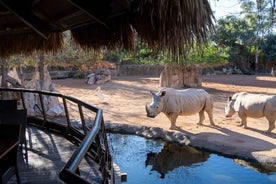 Valencia: Aðgangsmiði að Bioparc Valencia