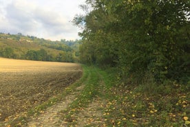 Trüffeljagd und Barolowein-Verkostung