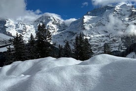 Private Day Trip in the Heart of the ALPS - Jungfrau Region