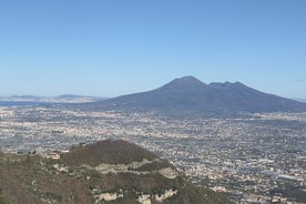 Pompeya y Vesubio con almuerzo y cata de vinos desde la costa de Amalfi