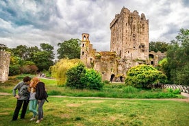 Tour di un giorno aI Castello di Blarney da Dublino, compresa la Pietra di Blarney