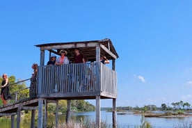 Paseo en barco por la laguna Divjaka y Karavasta desde Durres