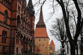 Excursion privée à terre: Rostock et Warnemuende