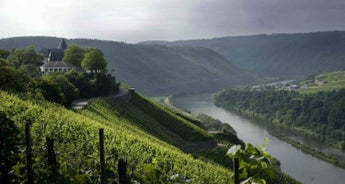 Germany guided-Ebiketour | Moselle-River | 6 days