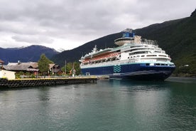 Spécial croisière: voyage privé dans les canyons et les cascades avec le chemin de fer de Flåm