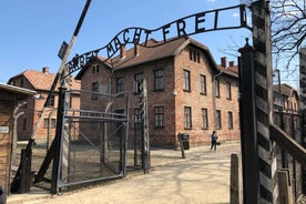 Frá Krakow: Leiðsöguferð um Auschwitz-Birkenau og Ferð frá Gististað