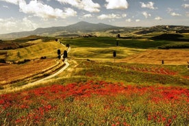 Livorno Port Shor Excursion: Siena San Gimignano Lunsj og vinsmaking