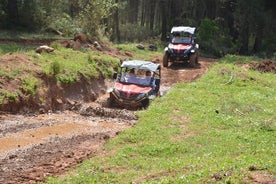 Safari de buggy