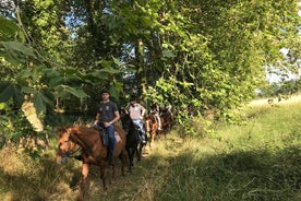 1-stündiger Touristenspaziergang mit Führer