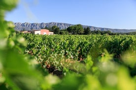 Hálfs dags vínferð í Côtes de Provence Sainte-Victoire frá Aix en Provence