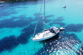 Erkunden Sie die wunderschöne Küste von Formentera. Inkl. Cava, Getränke, Snacks, ..