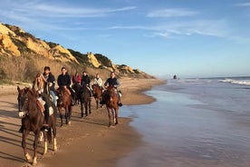 Reiten durch Doñana und Besuch von El Rocio - Private Tour