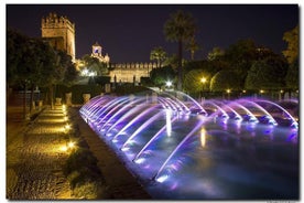 Queue-free entry to ALCAZAR DE LOS REYES CRISTIANOS in Cordoba