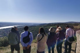 Den nordlige Rhône-dal vin halvdagstur fra Lyon