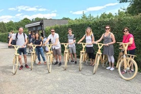 Tour in biciclette di legno, Stoccolma.