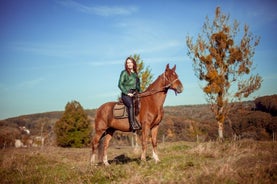 Three hours of horse riding tour from Zubra village to Lviv city and back