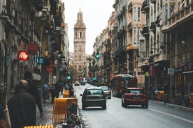 Valencia turística (con flamenco) en un tour privado de día completo con un local