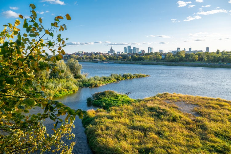 The Vistula River with greenery on the causeway and the island, skyscapers.jpg