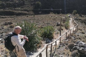 Private Hiking Tour in Imbros Gorge (Chania)