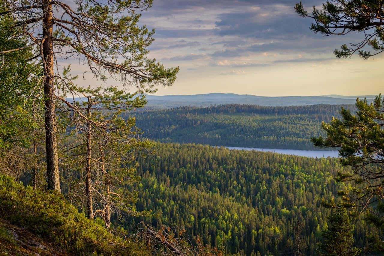 finland-in-february-5.jpg