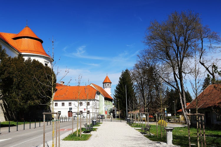 Photo of Brezice city with castle and water tower, Slovenia. Brežice is a historic town in Slovenia known for its medieval castle, scenic countryside, and vibrant cultural scene.