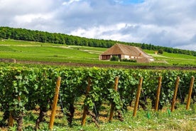 Burgundy wine tour - Private tour with professional tour guide !